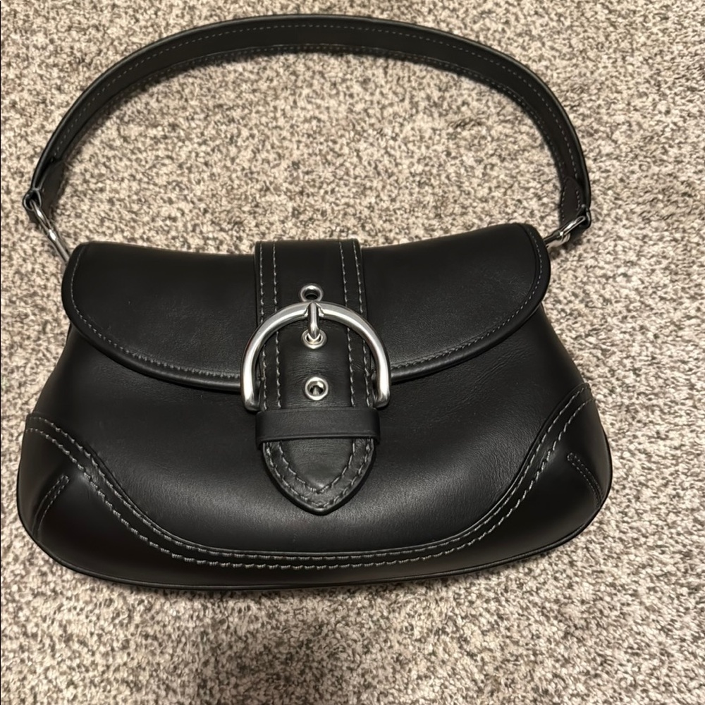 Coach regenerative leather bag